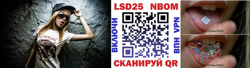 закладки  Питкяранта  Марки 25I-NBOMe 1,8мг 